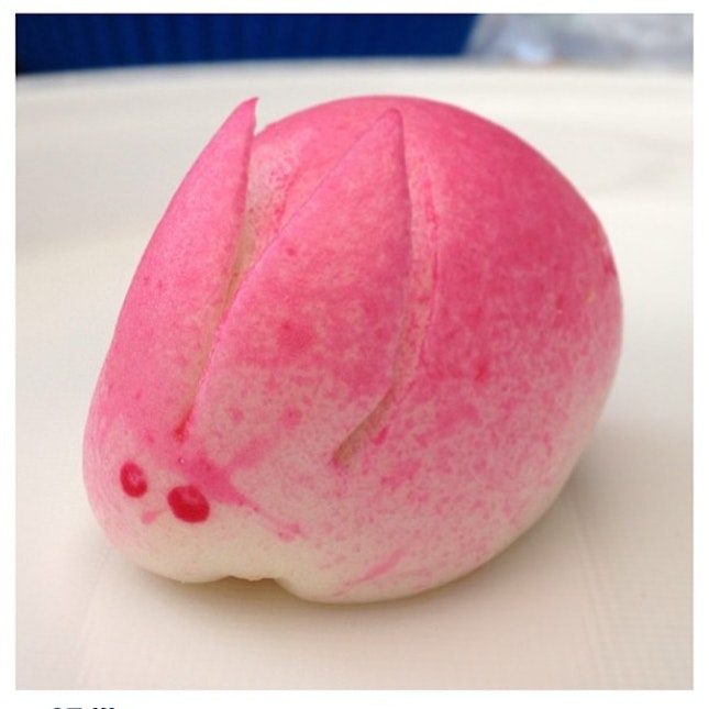 #repost #pau #photogihgrichardson #fauna #pink #rabbit #food