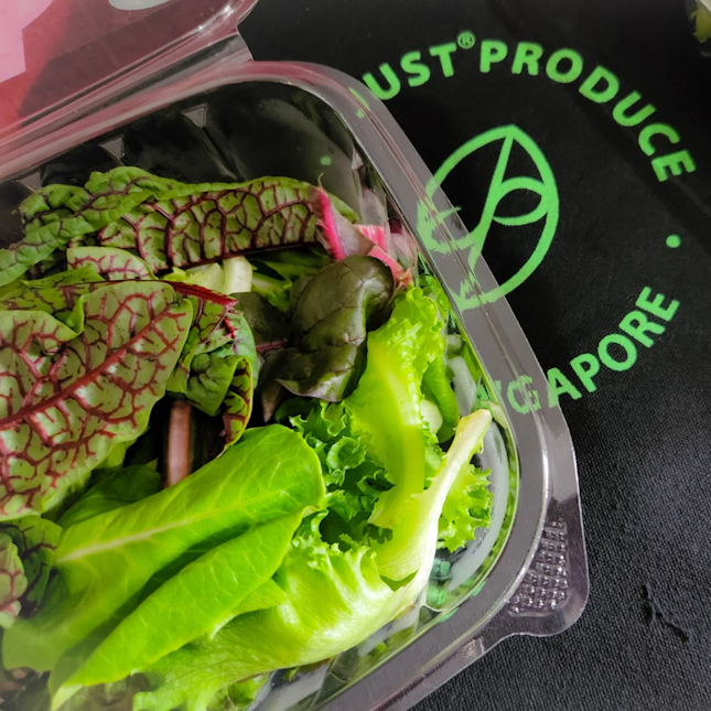 Just produce salad