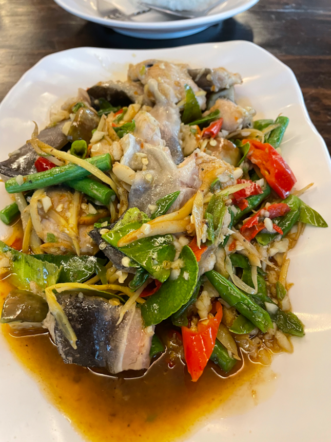 Spicy steamed snapper