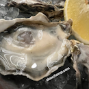 Naked oyster, $2++