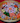 Hana Fortune Sushi Platter