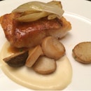 Red Snapper With Mushroom