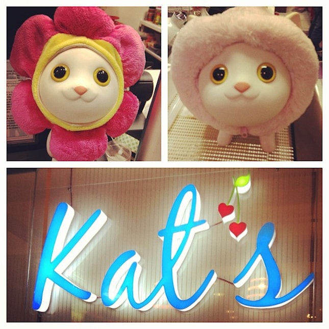 Besides having yummy food, they also have cute kitties at Kat's cafe!