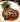 Flatiron Steak ($28++ per 100gms)