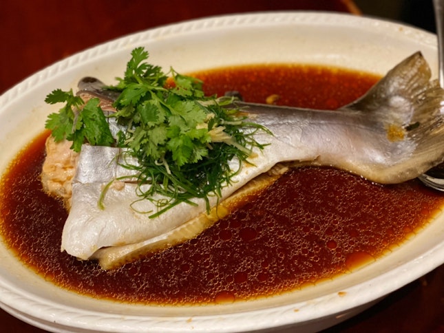 Steamed Patin