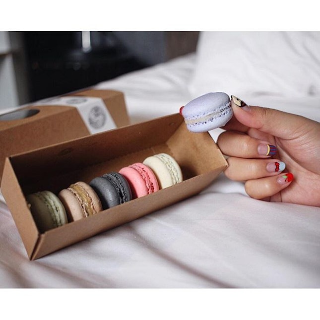 I could lay in bed all day with these awesome possum macarons from @cafe.creasion.
