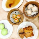 Decent dim sum, including a conspicuously empty plate.
