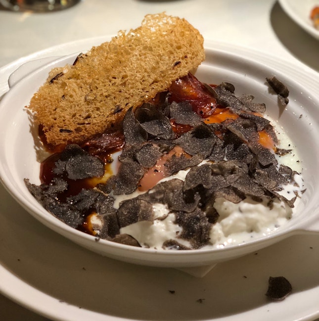 Slow Cooked Egg with Burrata and Black Truffle