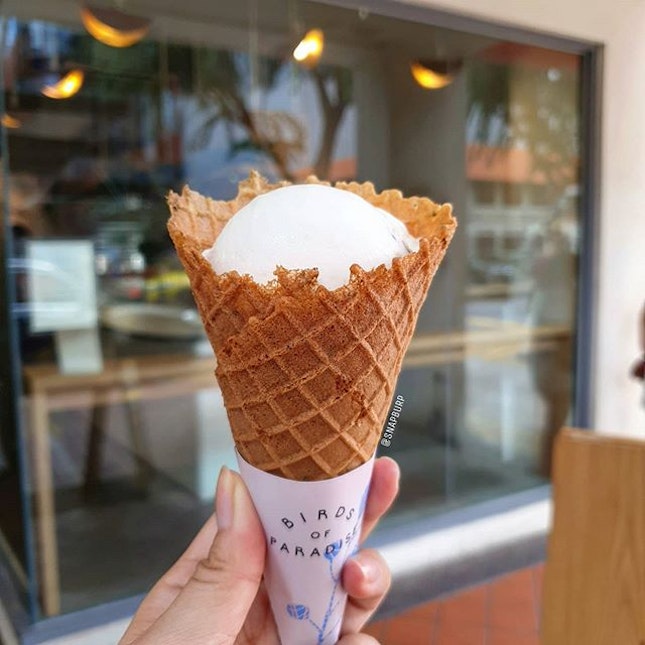 📍🇸🇬 Singapore

Who loves ice cream?
