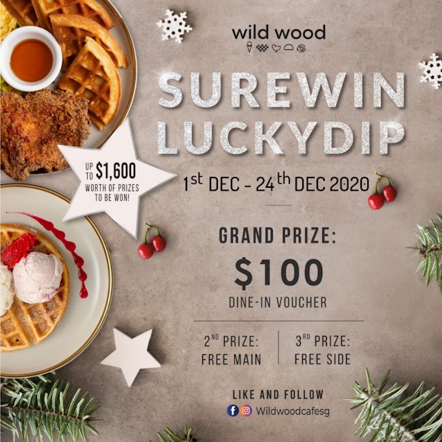 WILD WOOD CAFE SURE WIN LUCKY DIP