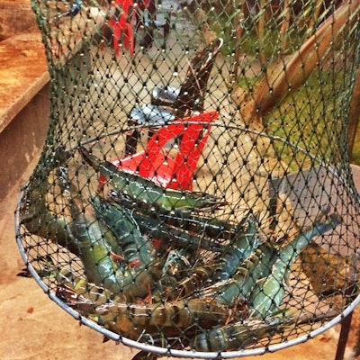 Tropicana Ebi Fishing  Burpple - 3 Reviews - Petaling Jaya, Malaysia