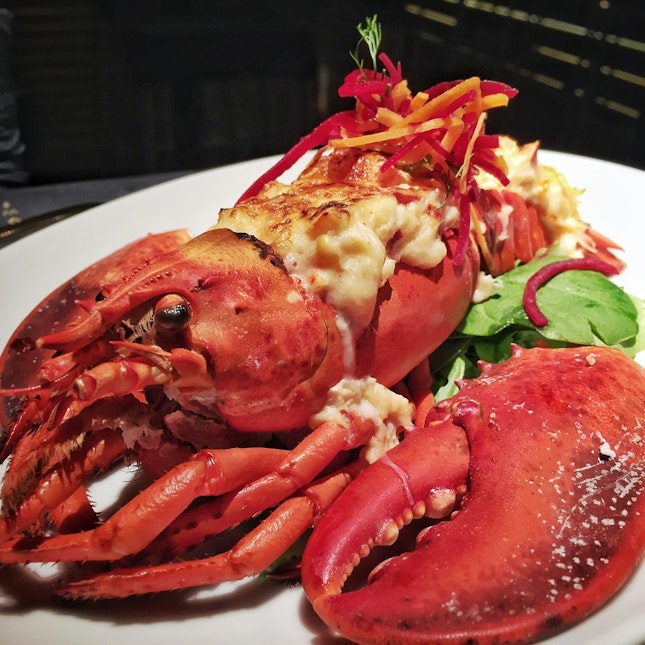 Lobster Gratin ($32)