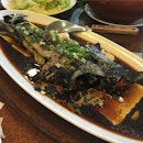 鲟龙鱼 which can only be found in taiwan & china, super ex fish but th price here is so cheap & it tastes so gooood!!!