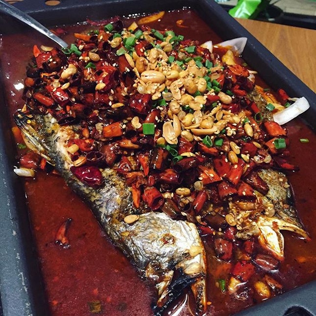 Chong qing fish where grilled fish served with spicy sauce.