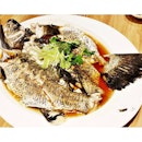 Steamed Sea Bass Fish In Hong Kong Style (SGD $35.75) @ Dragon Bowl.