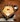 Passing Ramen 🍜🍜🍜 This is the only place where you can have "passing ramen" using special noodles that are 59 cm long in a pentagon shaped bowl 
Passing Ramen (890yen) 
#一蘭 #一蘭拉麵 #一蘭拉麵太宰府限定版 #合格拉麵 #ichiranramen #dazaifu #fukuokaeats #福岡 #福岡美食 #burpple #burpplegoesfukuoka #passingramen