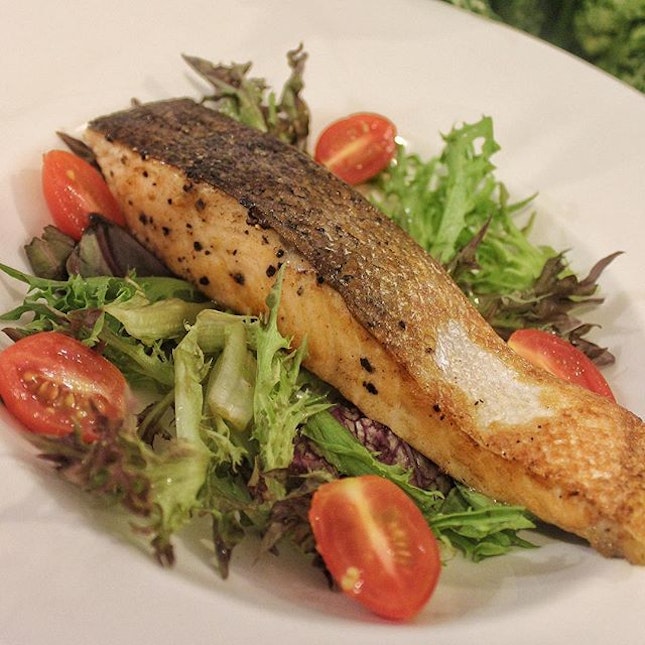 Atlantic Salmon Fillet, Pan-seared Salmon Fillet with Olive Oil.