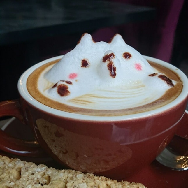 3D Coffee Art Cuteness 💞 🐱 🐈