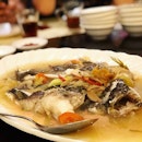 Dinner with his family ❤️ #melfclar #melfandfamily #国辉之夜 #jinlongseafoodrestaurant #jinlongseafood #chinesefood #familydinner