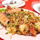 Seafood Mho O Cha,night Bazarr