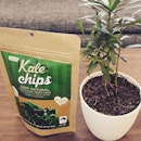 Taking healthy meals to the next level - Kale Chips (SGD$3.90) ....