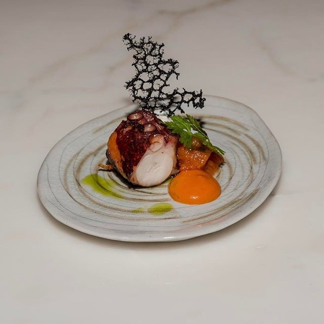 Il polpo Octopus, tomato Coulis , basil #28wilkie #italianrestaurant #italianrestaurantsingapore #burpple #torcianowinery #tuscany