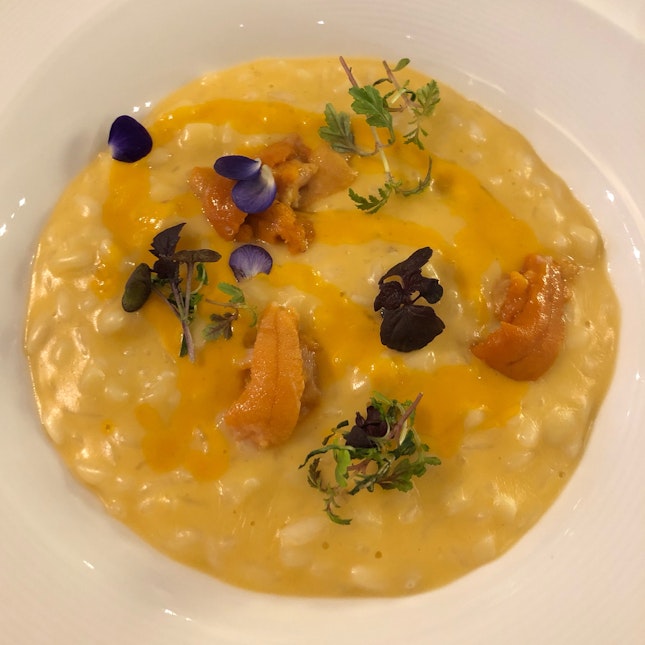 Risotto with squid and uni