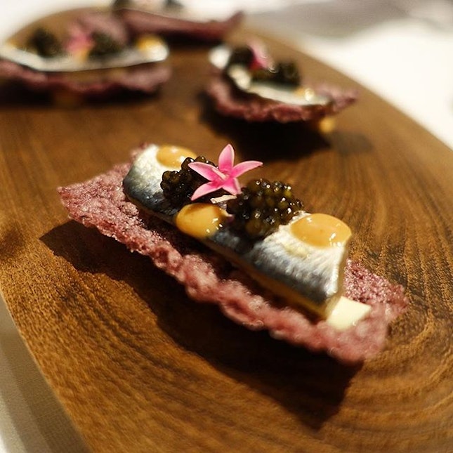 [Gallery Vask] Sardines on a lovely, lovely purple rice cracker.