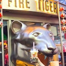 @ Fire Tiger
All for the gram!!
