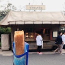 This unappetising looking rectangle is the MOST YIMMY disneysea snack.