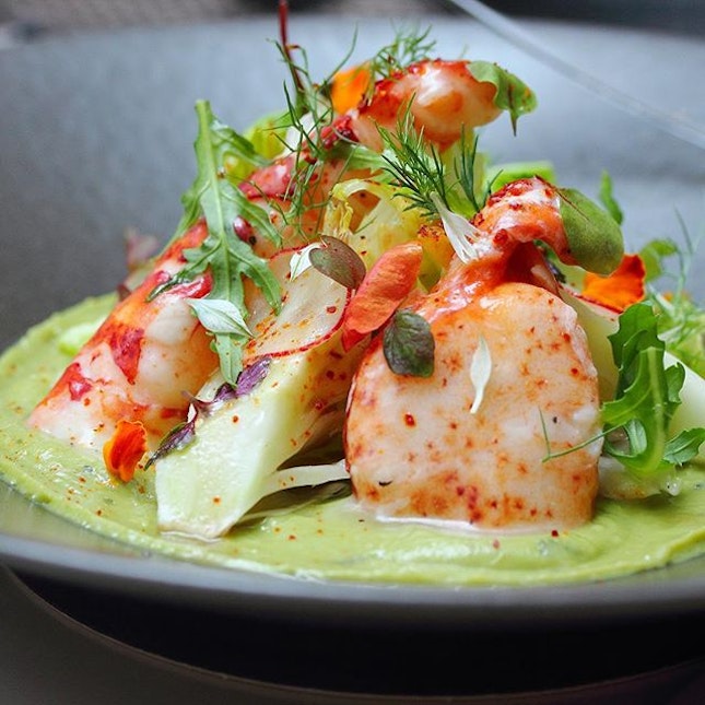 [Verre Modern Bistro & Wine Bar] - The Half Lobster Salad ($38) is served on a smooth guacamole base.