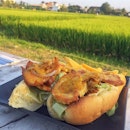 #chicken breast #sandwich overlooking the #paddy #field.